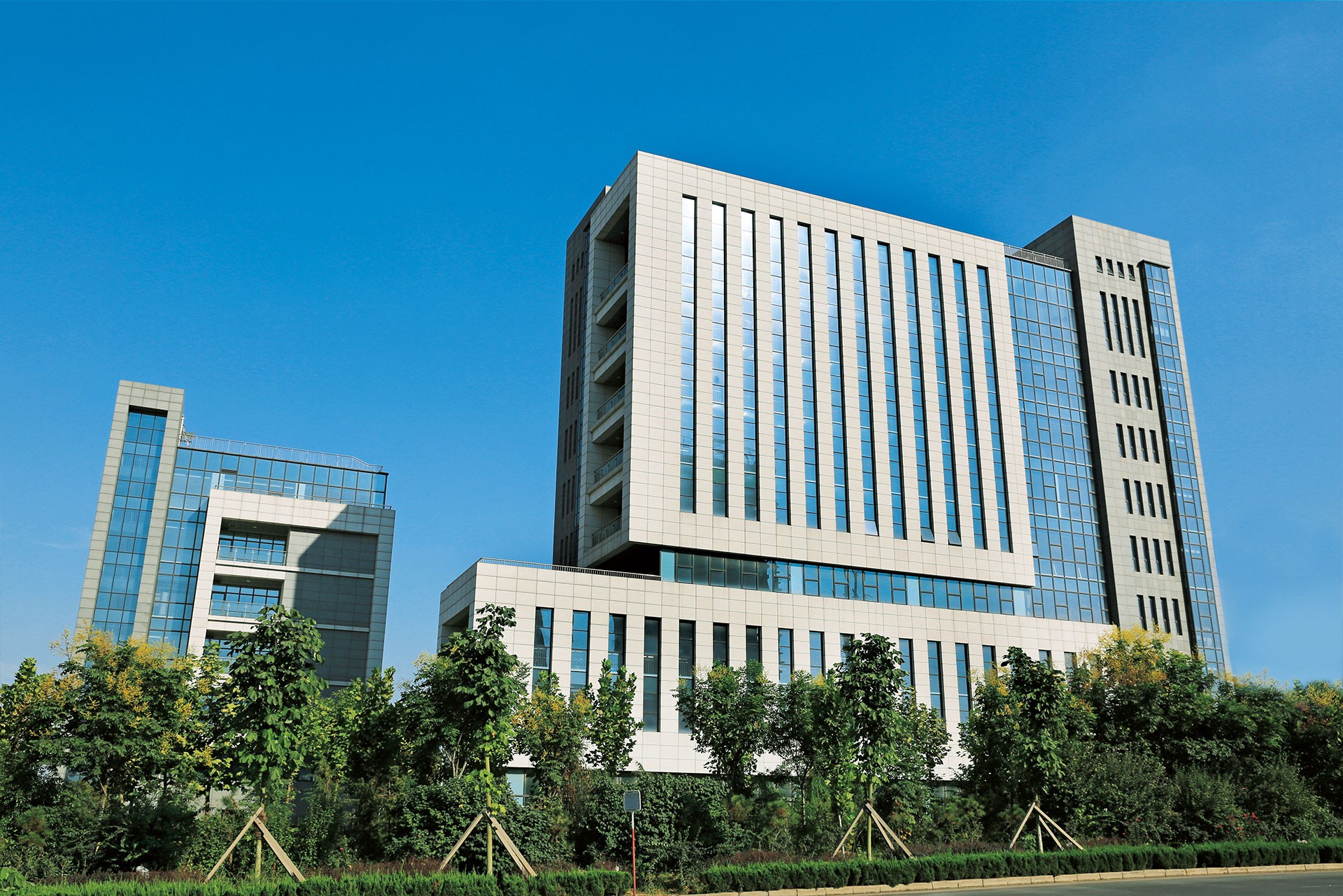 1515400827999122.jpg 1.jpg