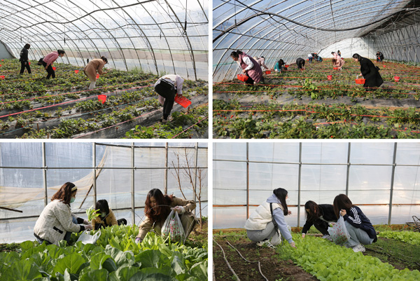 圖片關鍵詞 圖片關鍵詞